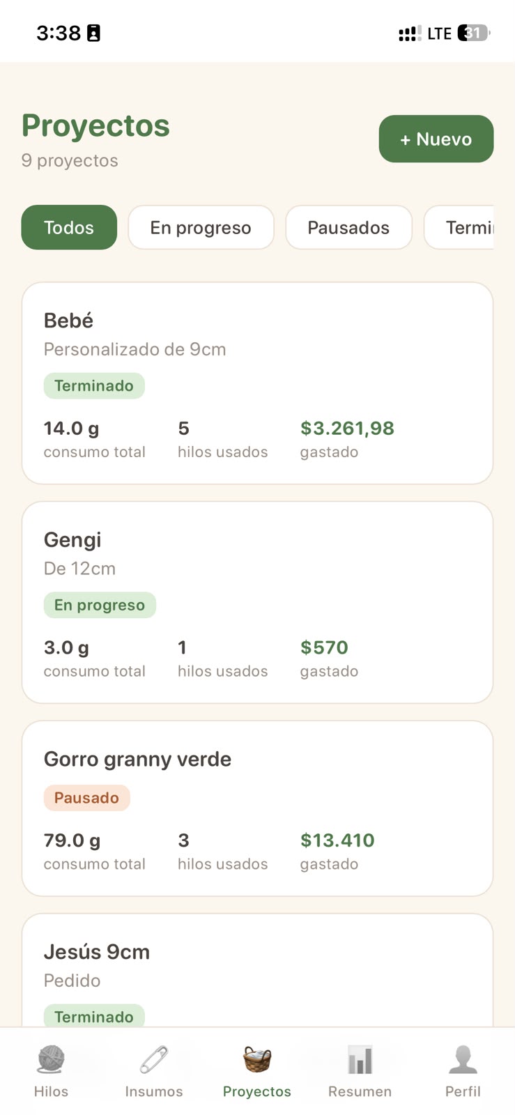 Pestaña Proyectos