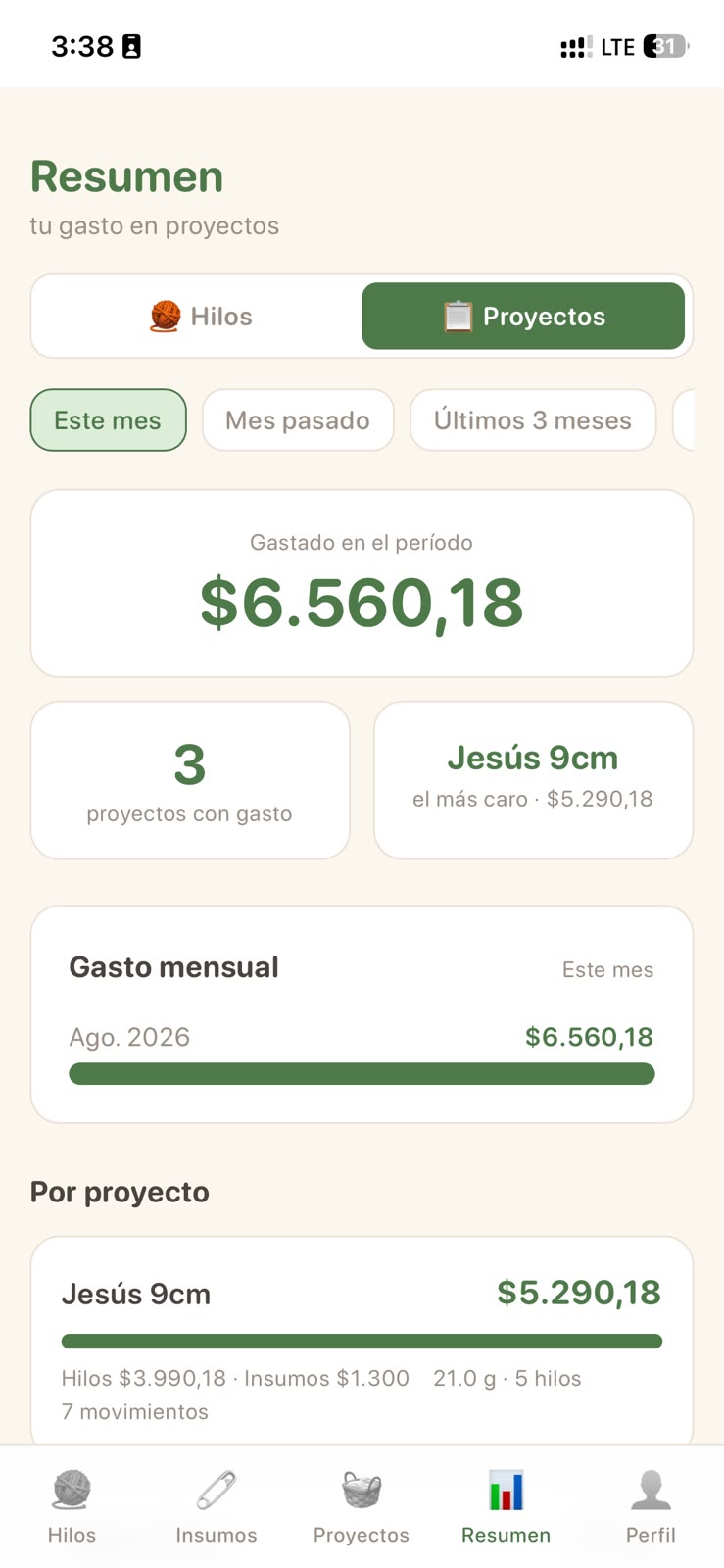 Pestaña Resumen